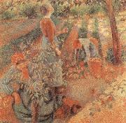 Camille Pissarro Apple picking Spain oil painting artist